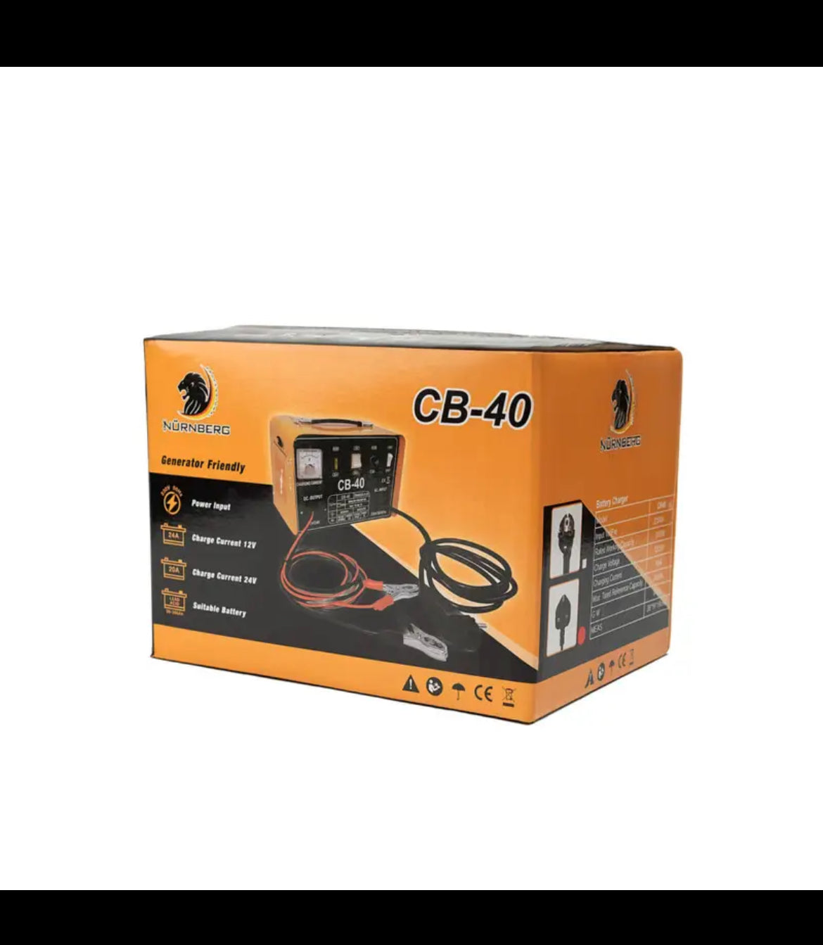 12V/24V Heavy Duty Battery Charger